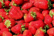Brampton Farmers' Market In Brampton - Source: Getty